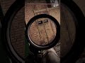 Nice shots #gaming #stalker2 #heartofchornobyl #gameplay