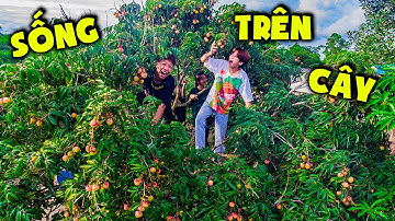 Thái Chuối | Cắm Trại Trên Cây Vải - Vui Nghỉ Hè