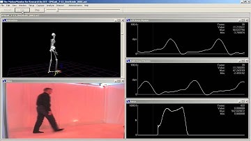 Gait Analysis with BioStage (Looped)  - Organic Motion Markerless Motion Capture