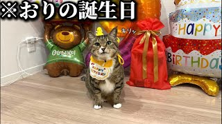 【祝】ほたて君の誕生日ライブ🎂