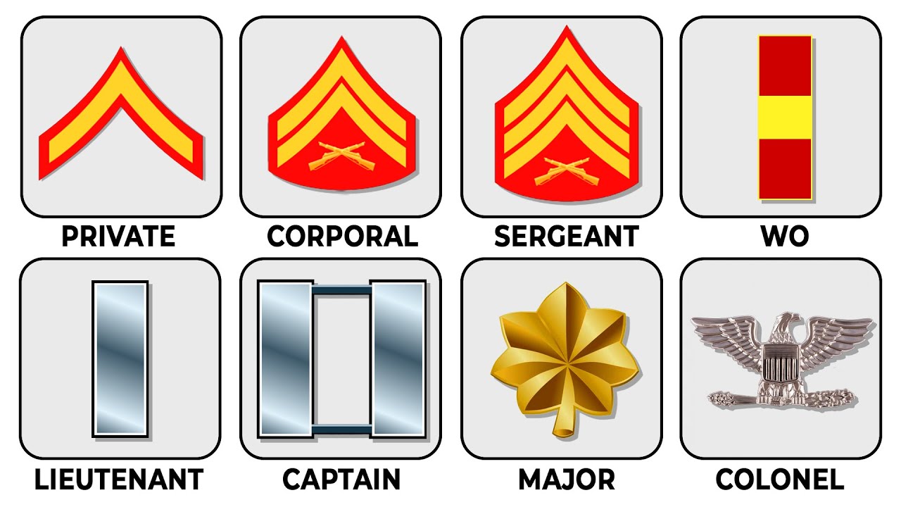 Every US Marine Rank Explained in 15 Minutes - YouTube
