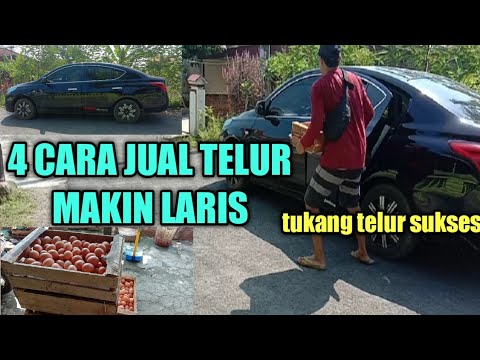 Video: Mengapa Mereka Sekarang Menjual Paket Berisi 9 Telur?