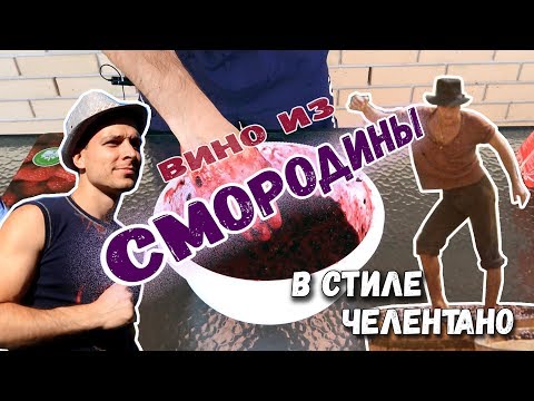 ДОМАШНЕЕ ВИНОДЕЛИЕ: ВИНО