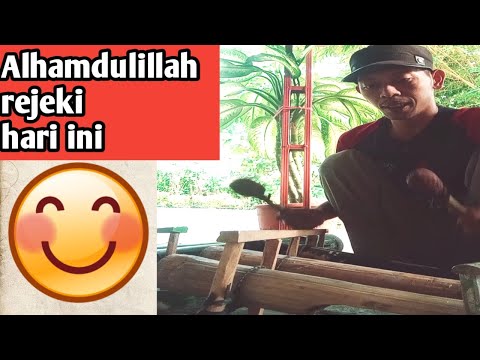 Seniman jalanan langgam kembang Probolinggo versi gong bambu