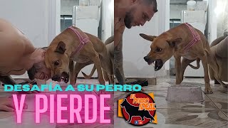 🔴 Protección de Recursos.. El peor ERROR que puedes HACER con tu Perro! 🐶😱💀🍗 by Elperroideal 9,043 views 1 year ago 7 minutes, 1 second