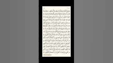 الورد اليومي: 4 صفحات (225-226-227-228) لتجنب هجر القرآن | تذكير يومي مستمر #قرآن #تلاوة