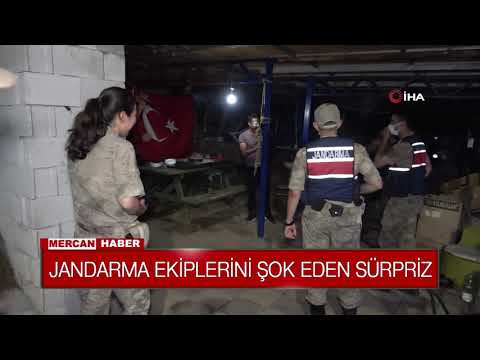 JANDARMA EKİPLERİNİ ŞOK EDEN SÜRPRİZ