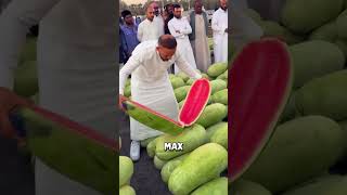 Why Their Watermelons Taste Better Media  #mrbeast #mrbeastshorts #samayraina