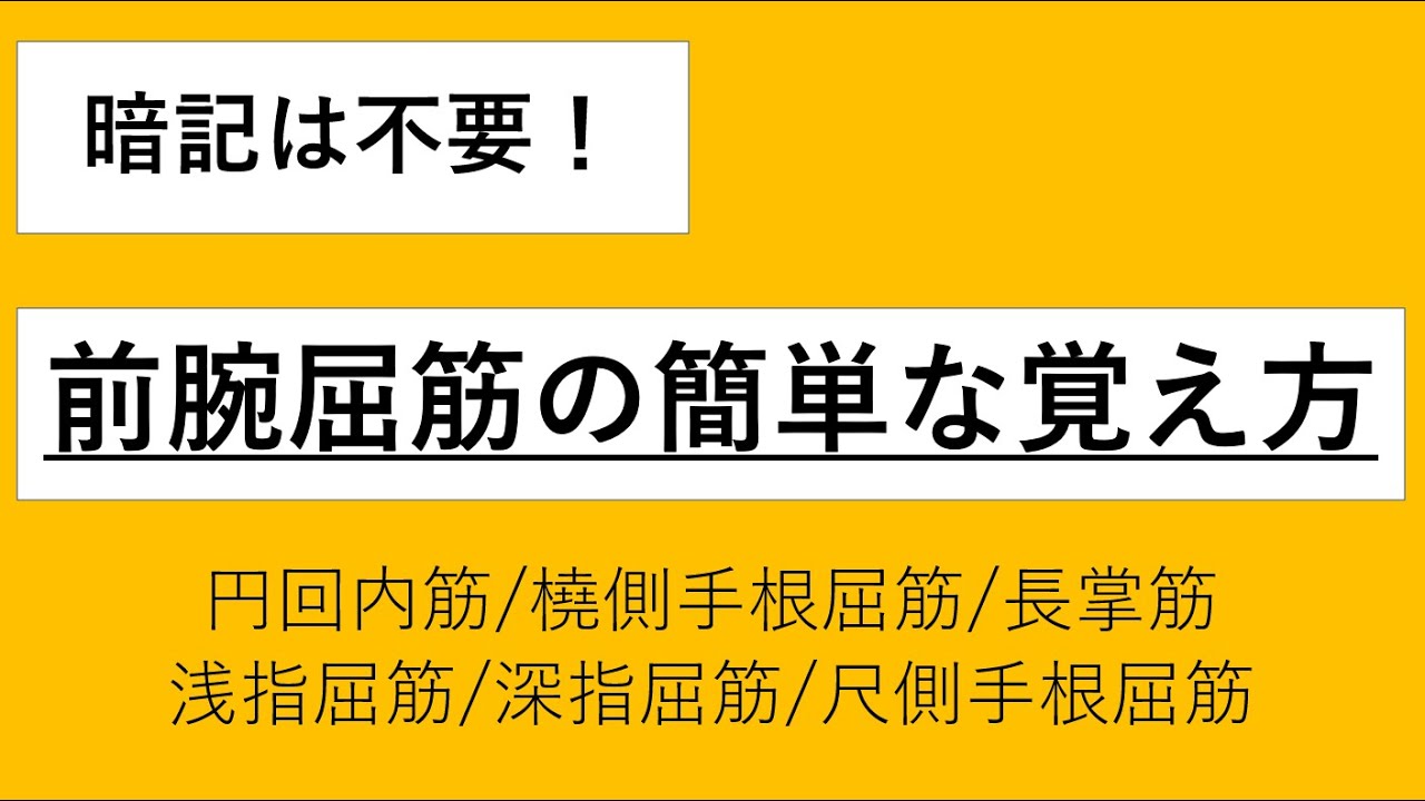 【学生必見：暗記不要！】前腕屈筋の覚え方。円回内筋、橈側手根屈筋、長掌筋、深・浅指屈筋、尺側手根屈筋が秒で覚えられる！
