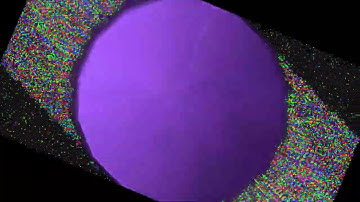 Simulated Video Feedback on the GPU (Run 8733)