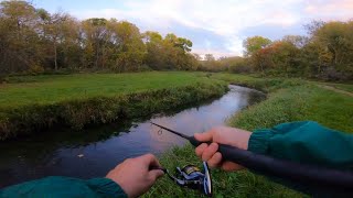 Catching JUMBO Trout on Spinners and Jerkbaits