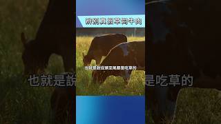 「草飼牛肉」可能是假的？