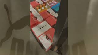 Aldis Warehouse Edition : Selector/Perishable 3 months Pregnant Part 1