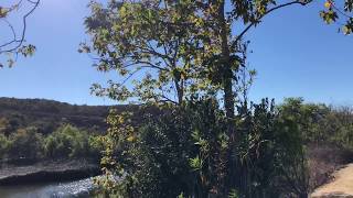North County San Diego: Discovery Lake in San Marcos, CA.