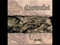 Disembodied - Amaranth