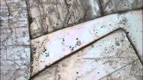 Plastic deformation and pressure solution in halite single crystals (with PIV)