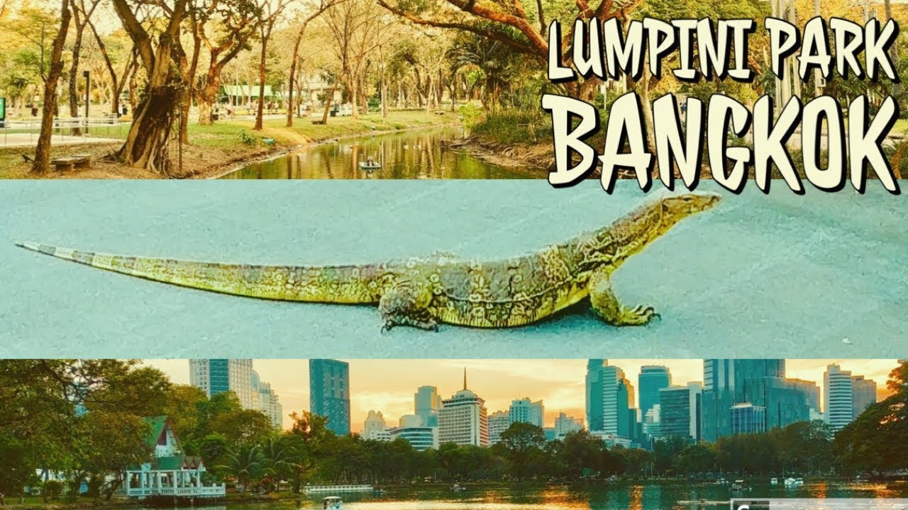 Lumphini Park- Things to do in Bangkok Attractions 2019/ Best place to enjoy time with family kids