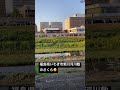 福島県いわき市新川河川敷のさくら🌸