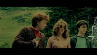 Hermione&Ron | Can you Feel this? {For my 500+ subs!}