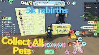 Roblox Collect All Pets | 5k rebirths & Attempt for #1