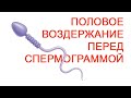 Половое воздержание перед спермограммой / Доктор Черепанов