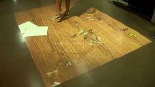Interactive floor flies Killing game