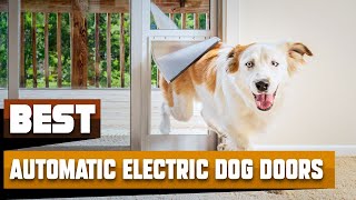 Automatic Electric Dog Door : Can I Try Once From Here? Resimi