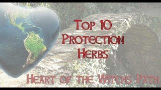 Top 10 Protection Herbs