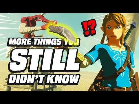 BotW Link – everything you need to know