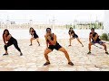 Zumba - Dança do Krau | Psirico | Professor Irtylo Santos