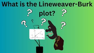 The Lineweaver Burk Plot Explained In Under 5 Minutes