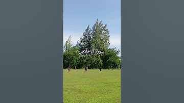 سورة الإخلاص #قرآن #قران_كريم #quran #viral #video