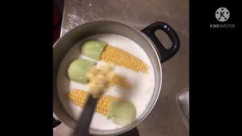 Ngô luộc sữa, bắp luộc sữa tươi
