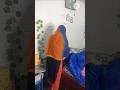 #shorts Ramzan Karim special mini vlog#minivlog#ramzan#ramzanspecial#viral#trending#yt