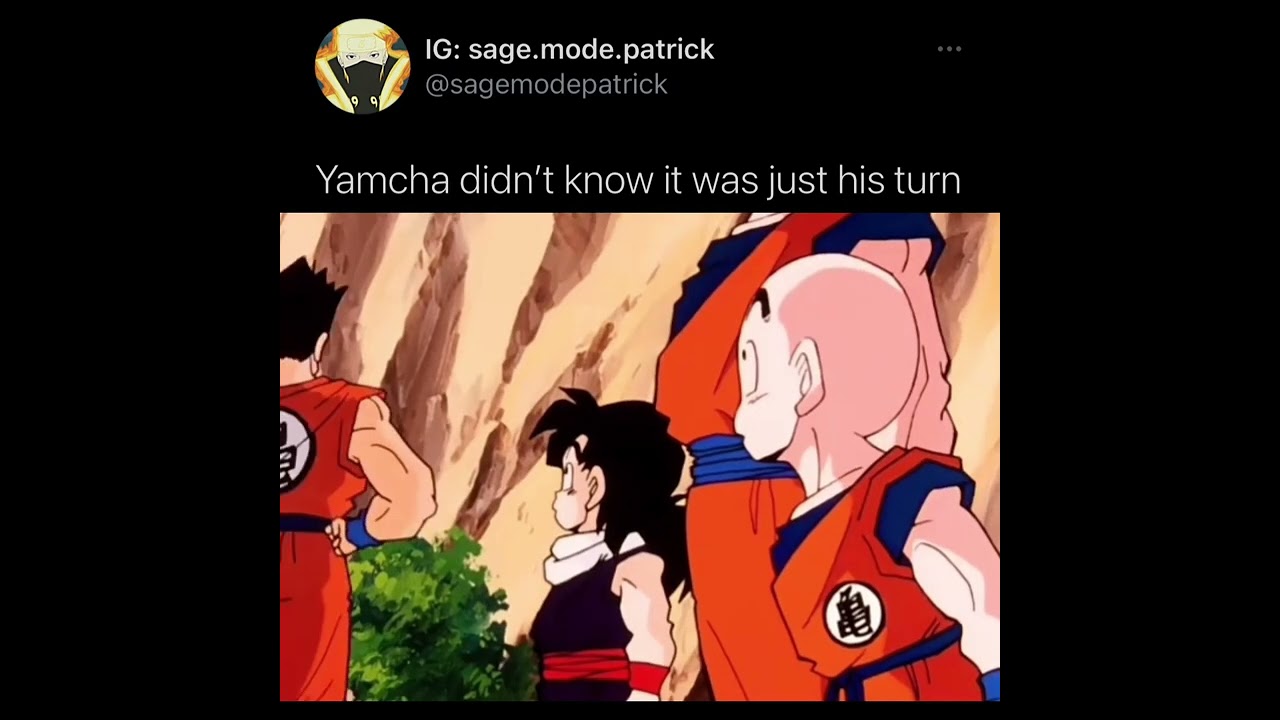 Piccolo knows everything 😂 