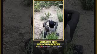 Migrants Hike Near Moroccan Border With Spain in Hopes of Reaching Ceuta