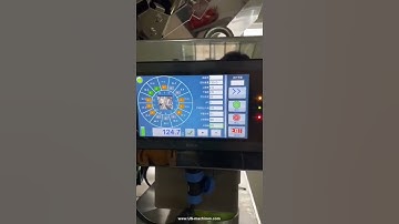 Automatic dried fruit nuts small bag weighing big bag form fill seal machine