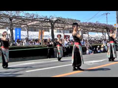 よさこい 2010 春日部藤まつり（庄和舞人 軌）