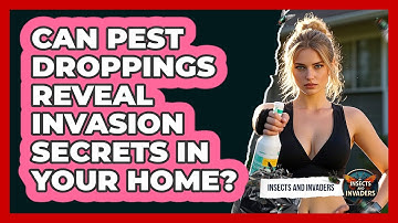 Can Pest Droppings Reveal Invasion Secrets In Your Home? - Insects and Invaders
