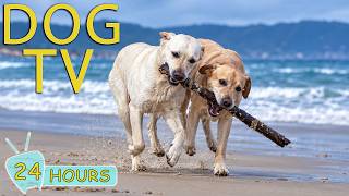 DOG TV: Best Videos Entertained for Dogs to Watch All Day no Stress - Relaxing Music for Dogs