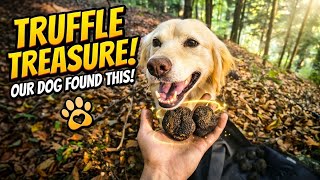 Do You 💚 Nature, Animals and Expensive Food?