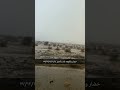 أمطار خضار و القبعة بلاد بللحمر