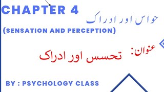Class 11 Psychology | Chapter 4 | Sensation & Perception | Urdu/Hindi Lecture