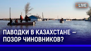 Из-за паводков в Казахстане будет вспышка сибирской язвы? Кто ответит за затопленную страну?