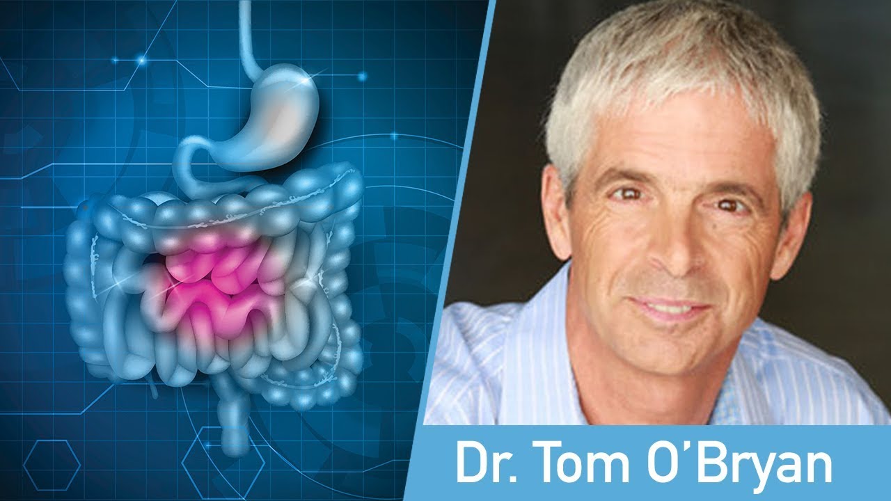 Autoimmunity, Autism And Leaky Gut - Dr. Tom O'Bryan - YouTube