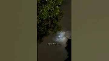 شيرين كل حب الدنيا بدون موسيقى 