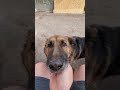Молитвиница
