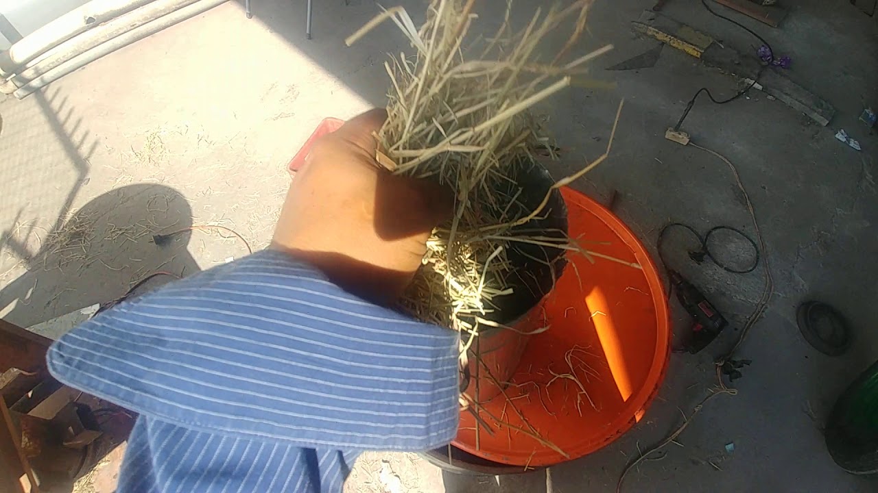 Picadora de zacate casera parte 2 YouTube