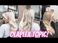 MY TAKE ON OLAPLEX AND EVERYTHING GOING ON!
