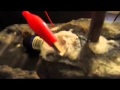 How does the rock battery work?